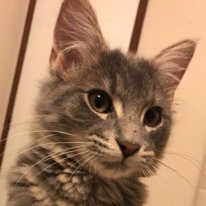 Meet your Posher, Becky